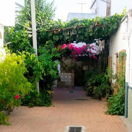 Preciosa Casa Grande Con Patio En 8pax *